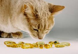 Pharmacie de la Noue